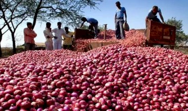 বাংলাদেশে পেঁয়াজ রপ্তানির অনুমতি দিলো ভারত