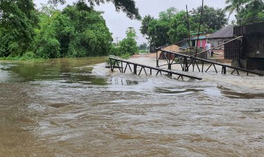ফেনী-নোয়াখালী যাচ্ছে ২৫০ বোট: সমন্বয়ক নুসরাত