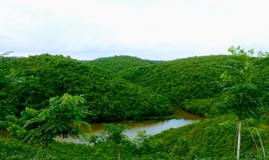 ঈদের ছুটিতে প্রাকৃতিক সৌন্দর্য উপভোগ করতে ঘুরে আসুন চায়ের রাজ্যে