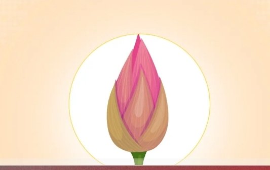 শাপলা কলি’ প্রতীক নিতে সম্মত এনসিপি