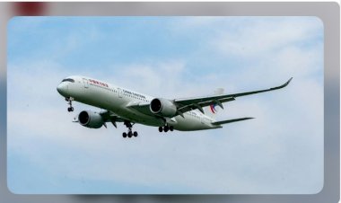 বিশ্বের দীর্ঘতম ফ্লাইট চালু, পার করবে অর্ধেক পৃথিবী